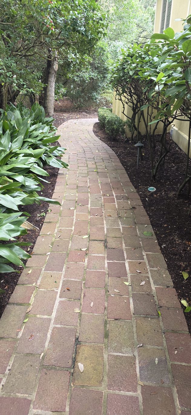 Mossy brick walkway before pressure washing in Hilton Head, SC