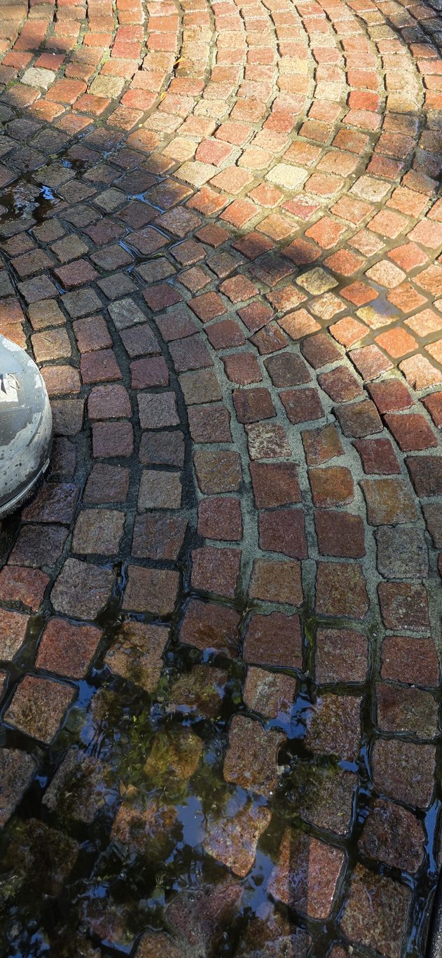 Paver driveway half cleaned showing the before and after contrast in Hilton Head, SC
