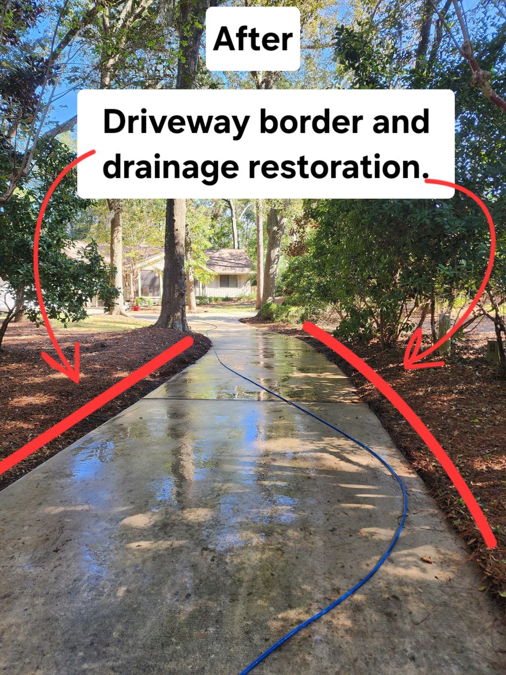 Driveway border and drainage cleared after cleaning in Hilton Head, SC