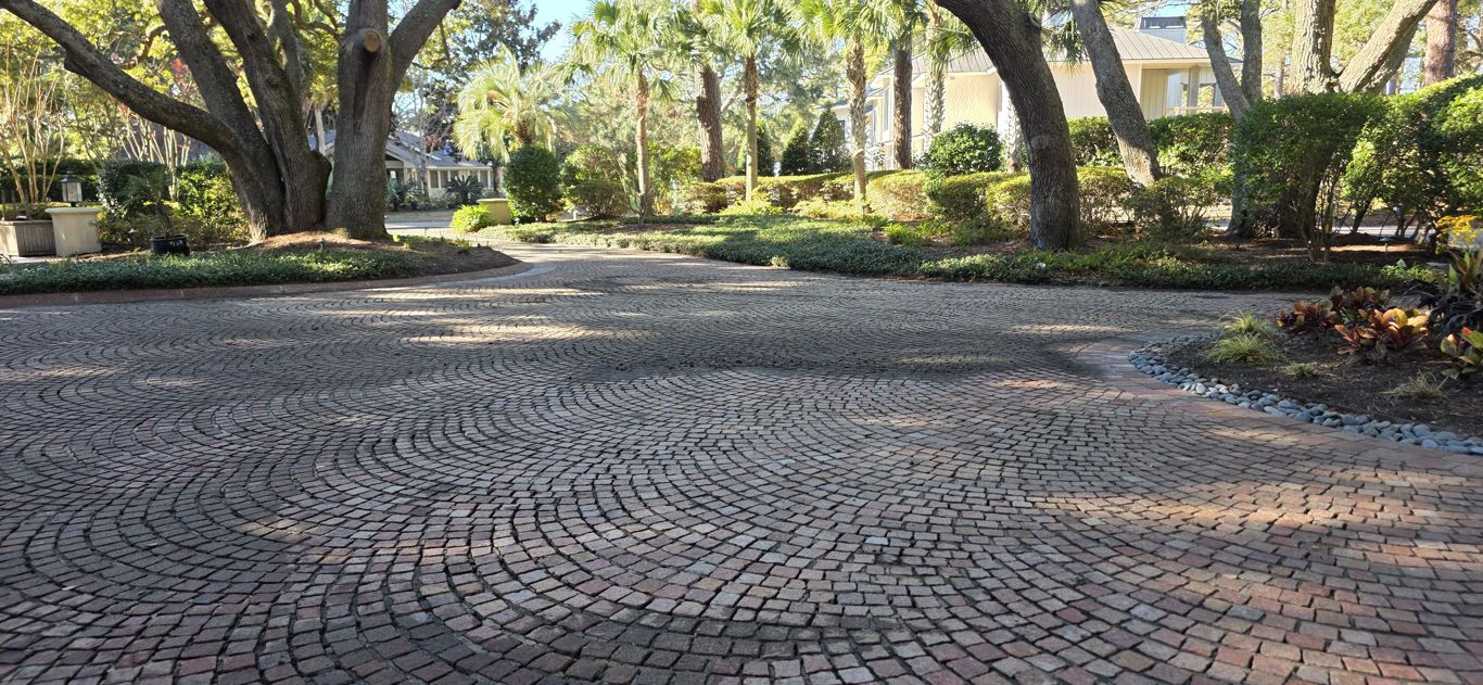 Tree-lined paver walkway pressure washing in the Lowcountry