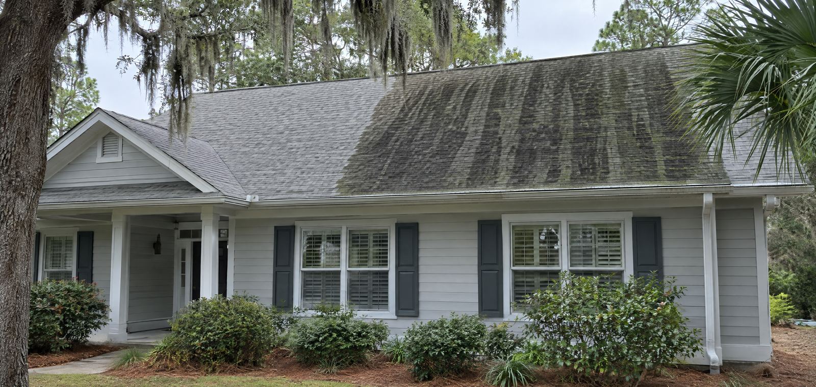 Algae-streaked shingle roof on a Lowcountry home, half soft washed back to clean gray